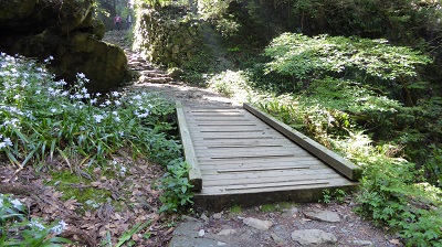 04044_施福寺登り