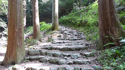 04063_施福寺登り
