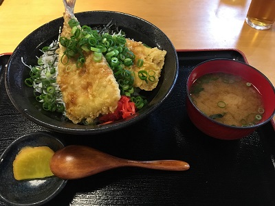 04103_しらすといわしの親子丼