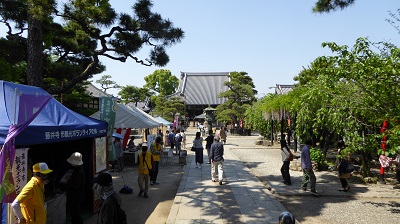 05023_葛井寺ふじまつり