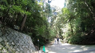 601奥之院別れ道