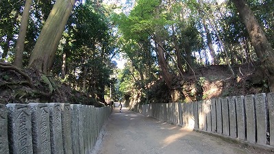 0113_最後の坂