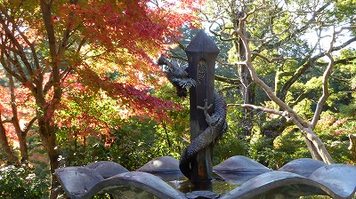 1015_紅葉
