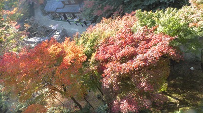 1032_摩尼殿からの紅葉
