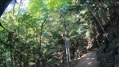 2003_山道