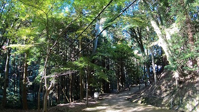 3002_奥之院道