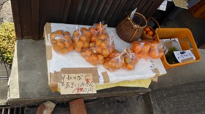 2010湯浅・みかん