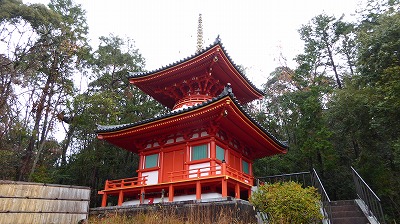 115医聖堂