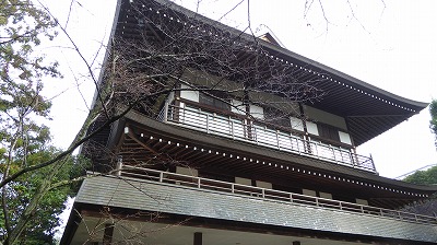 241大講堂