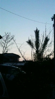 2009042320580001.jpg