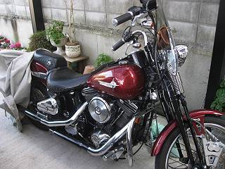 IMG_2463-s.JPG