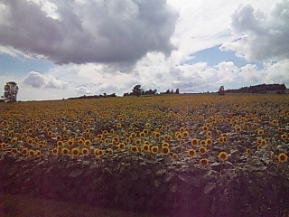 100802_140247.jpg