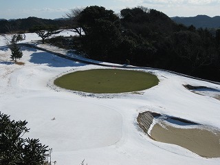 雪の中のグリーン