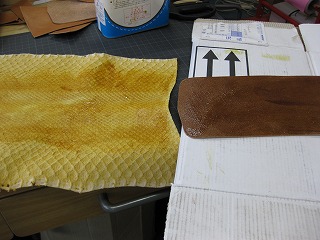 パイソン貼りつけ