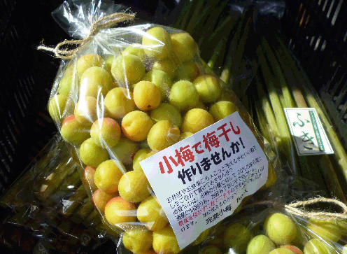 小梅販売