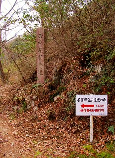 自然遺産の森