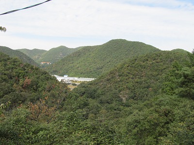 山中不動