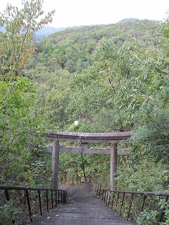 山中不動