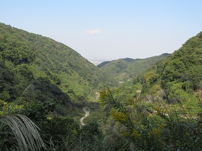登り