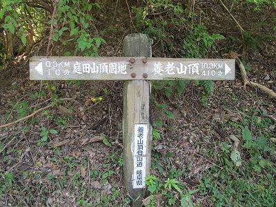 道標