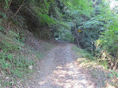 登山道