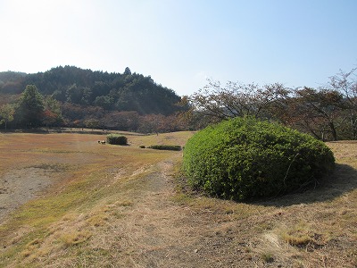 公園
