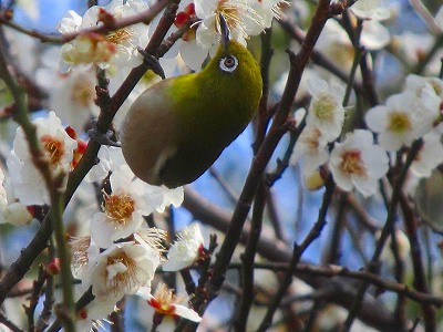 おまけ