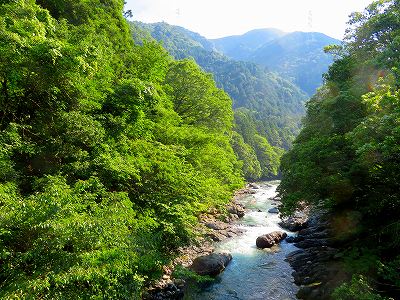 粕川