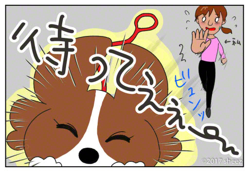 ¤¹¤¥14-5