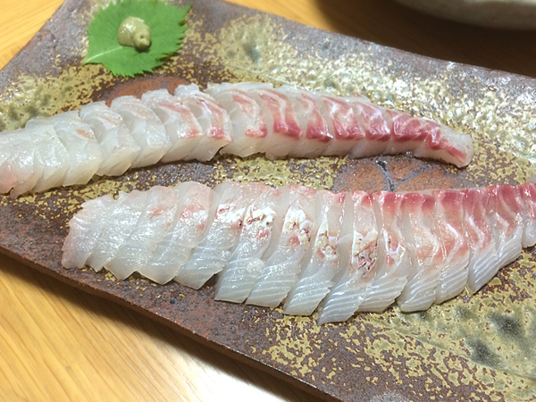 2016-07-10 002.jpg