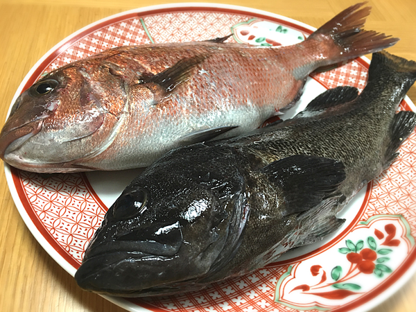 2016-12-11 001.jpg