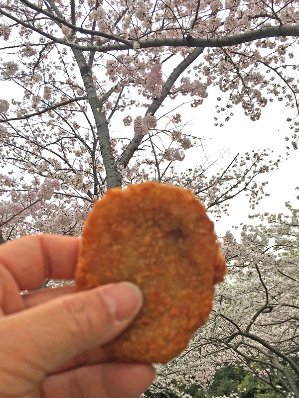 2017-04-09 003.jpg