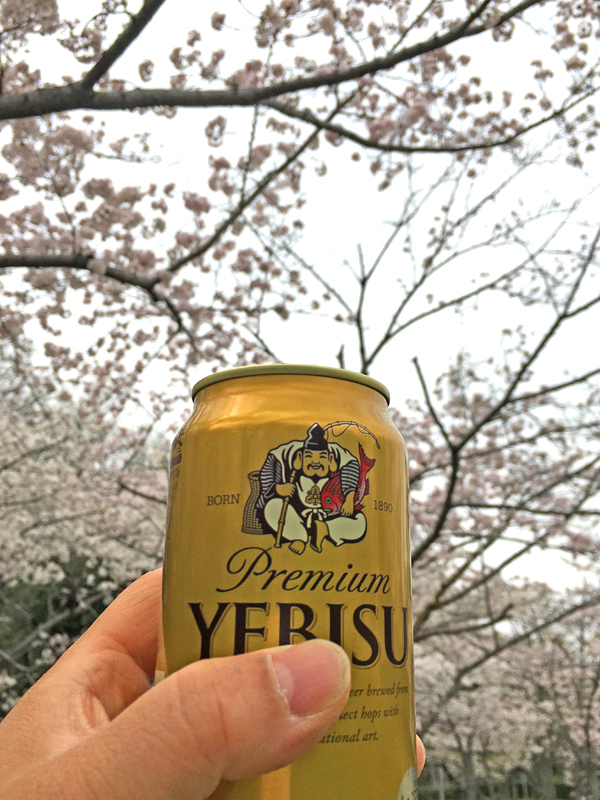 2017-04-09 005.jpg