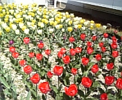 DVC00069.jpg
