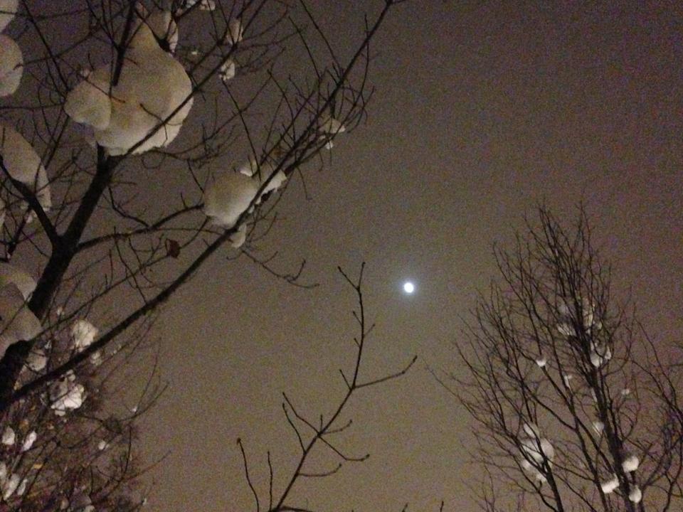 月夜