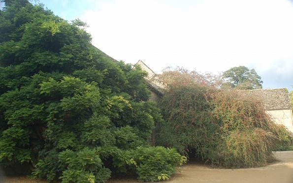 2013.10.199.jpg