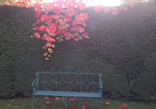 2013.10.223.jpg