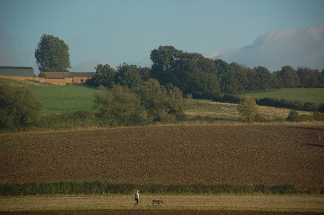 2013.10.244.jpg