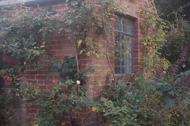 2013.10.291.jpg