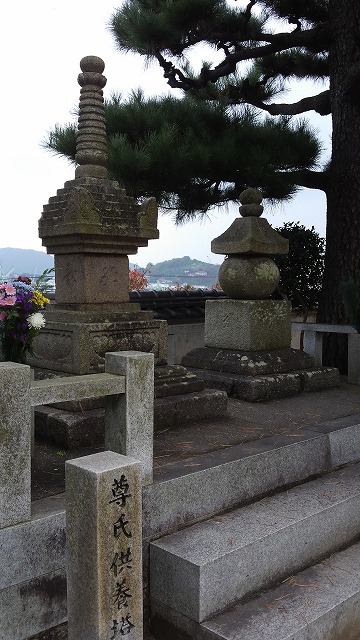 DCIM1228.jpg
