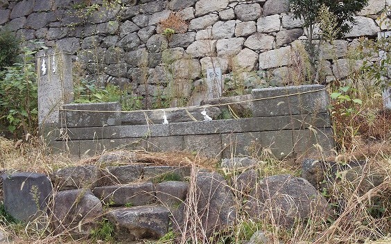 DCIM1245.jpg