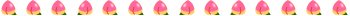 ライン桃