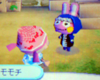 モモチ