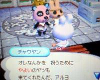 チャウヤンの誕生日