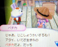 ペチカ