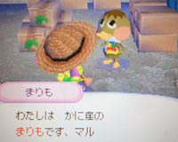 新住人 まりも