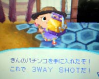 金のパチンコ