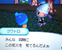 クワトロと花火大会