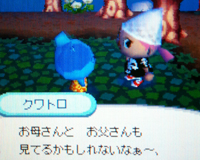 クワトロと花火大会