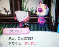タンタン